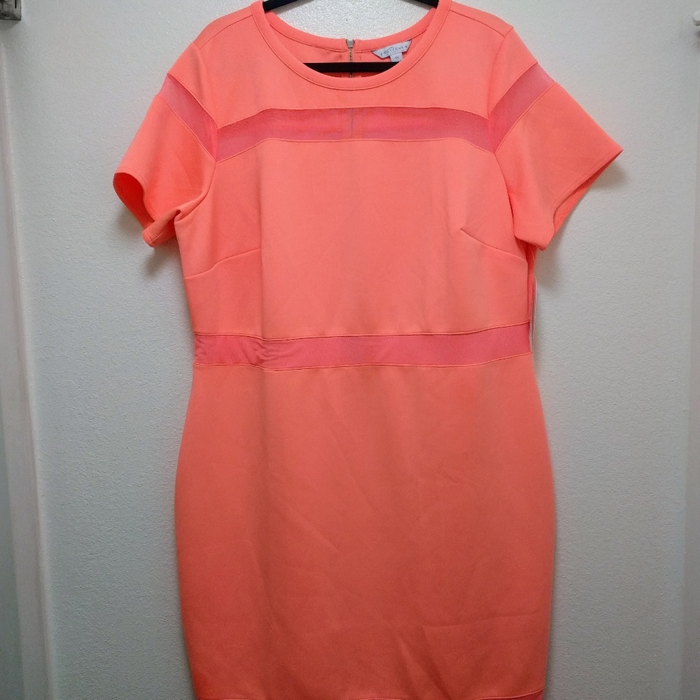 Boutique Plus Size Dress 2x Vacation Coral